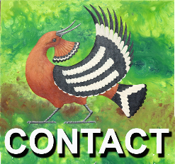 contact